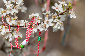 Traditional handmade martenitsa (martisor) hanging from blossoming tree. Bracelet made from red and...