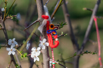 Traditional handmade martenitsa (martisor) hanging from blossoming tree. Bracelet made from red and...