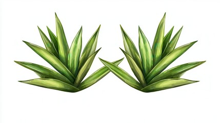 Fototapeta premium Tropical leaves decoration isolated in studio for elegant interior design