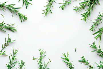 Fototapeta premium White background with a bunch of green herbs in the center