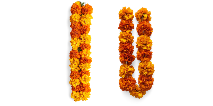 Vertical Garland of Orange Marigold Flowers on a Transparent Background