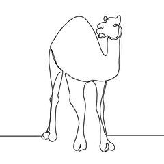 Continuous Line Drawing Of Camel. One Line Of Arabian Camel. Camel In Arabia Continuous Line Art.