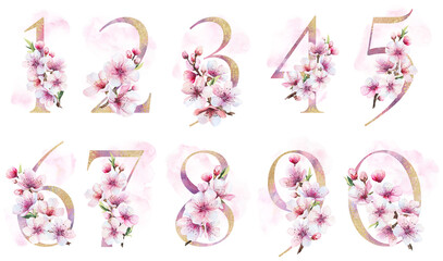 Watercolor and golden numbers with pink cherry flowers and buds, wedding sakura isolated element © katrinshine