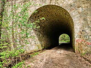 Obraz premium stone vault tunnel on a forest road