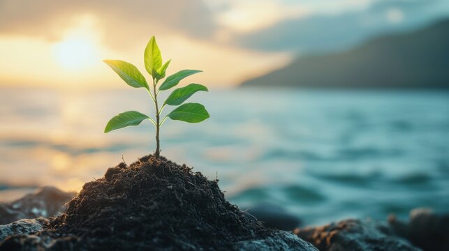 retirement investment planning, a serene consultation for retirement planning, with visuals of stability and future security