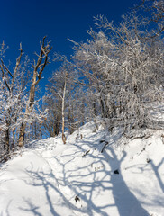Snowy winter landscape with blue sky