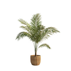 Obraz premium a small plant growing in a pot shaped like a palm PNG image, PNG file, Generative art.