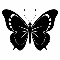 Butterfly vector silhouette black design white background