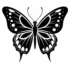 Butterfly vector silhouette black design white background