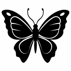 Butterfly vector silhouette black design white background