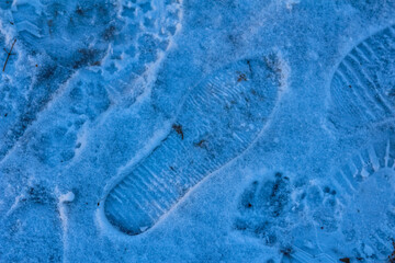 Footprints in snow reveal a solitary journey through a winter landscape