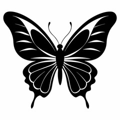 Butterfly vector silhouette black design white background