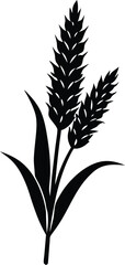 Millet silhouette vector illustration