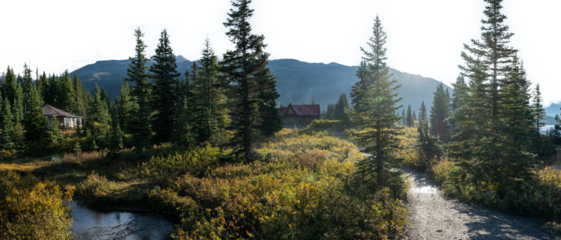 Panorama of a forest with cabins and blue colored mountain sky transparent
