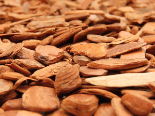 Closeup of polished pine bark nuggets. Different textures of pine bark mulch. Pine bark is an organic mulch used in gardening to benefit the plants.