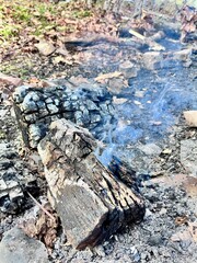 a wooden log is burning