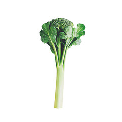 a picture of a stalk of broccoli on a white table PNG image, PNG file, Generative art.