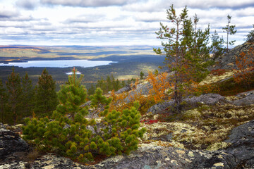 Obraz premium Autumn Landscapes overlooking the lake Kaskama. Kola Peninsula, Arctic Circle, Russia