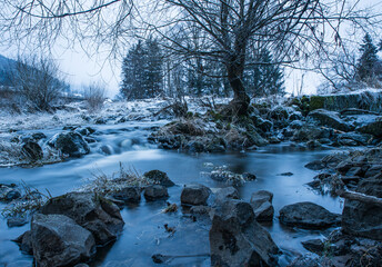 Winter landscape with frozen stream and bare tree in a tranquil setting at dusk