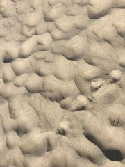 sand ripples in the sand