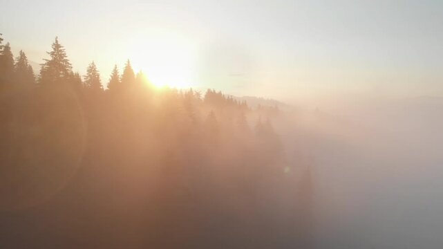 Aerial view of a misty forest illuminated by the golden rays of sunrise, creating a serene and ethereal natural scene.