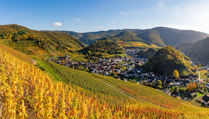 Winzerdorf Mayschoß an der Ahr im Goldenen Oktober 2024