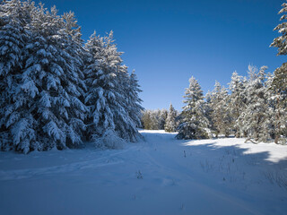 Winter Panorama of Vitosha Mountain, Bulgaria