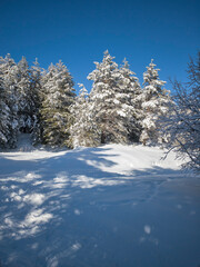 Winter Panorama of Vitosha Mountain, Bulgaria