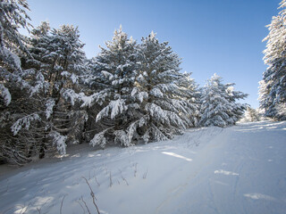 Winter Panorama of Vitosha Mountain, Bulgaria