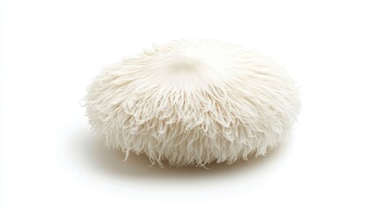 Single lion's mane mushroom isolated on white background.