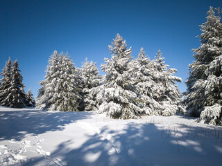 Winter Panorama of Vitosha Mountain, Bulgaria