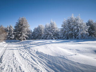 Winter Panorama of Vitosha Mountain, Bulgaria