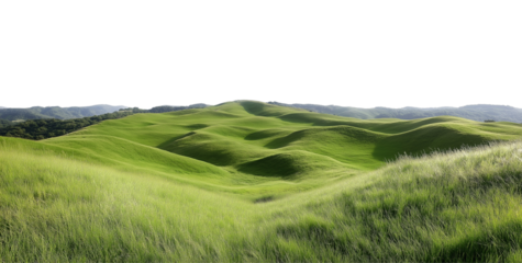 Beautiful green grass meadow landscape with hills, transparent background PNG