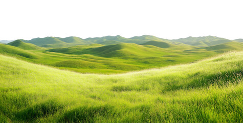 Obraz premium Beautiful green grass meadow landscape with hills, transparent background PNG