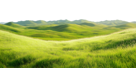 Beautiful green grass meadow landscape with hills, transparent background PNG