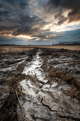 Harrowed Earth: The Stark Intersection of Industry and Nature's Desperate Resilience