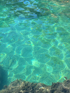 Emerald crystal clear sea with algae on water edge.