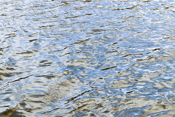 texture of lake water with small waves