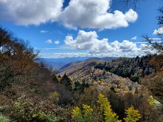 Smokies in autumn