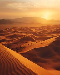 Fototapeta premium sunset in the desert