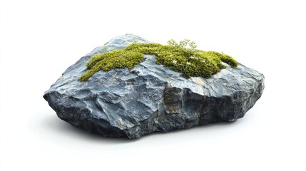 Mossy rock isolated, nature, studio, growth, white background, botany, texture, design