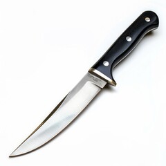 A sleek, fixed-blade knife with a black handle and a polished stainless steel blade.