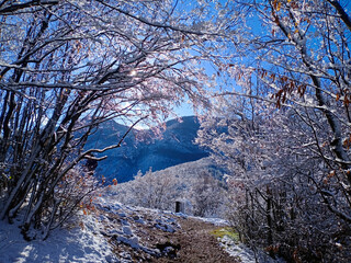 Snow-covered mountains and trees in bright winter landscape with blue sky