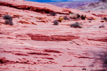 Valley Of Fire during sunset , Nevada , USA