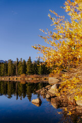Golden morning light at Echo Lake in Colorado, USA