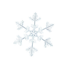 snowflake isolated on transparent background