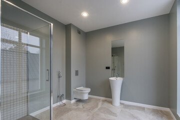 Elegant bathroom design in pastel colors. Stylish accessories, a shower behind a glass .partition.