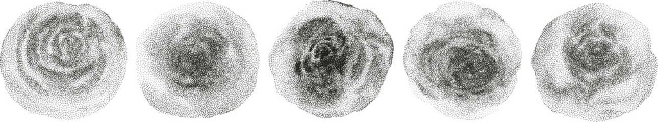 Grunge vintage leaves en halftones. Aesthetic graphic tattoo. Gothic punk poster.Trendy elements with retro photocopy effect.