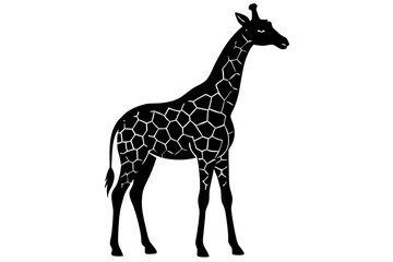 Naklejka premium giraffe black silhouette vector with white background. Wild animal vector