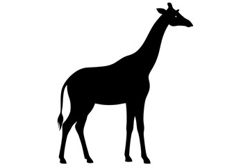 giraffe black silhouette vector with white background. Wild animal vector